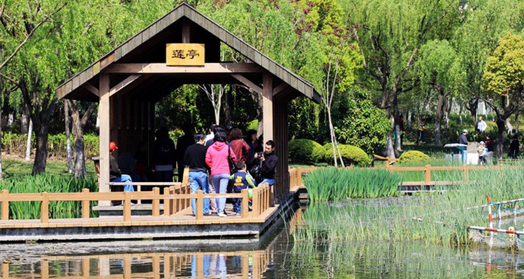 上海羅溪公園：芬蘭防腐木景觀烘托下小橋流水綠美地